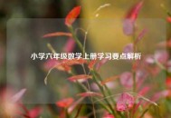 小学六年级数学上册学习要点解析