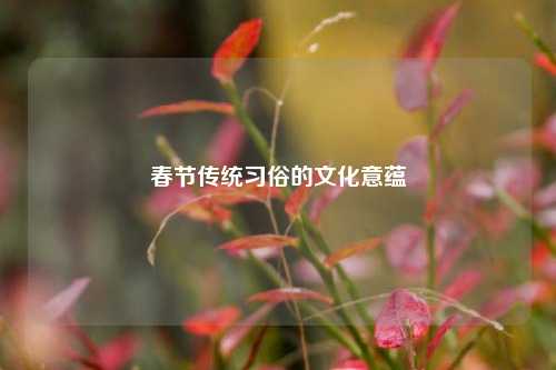 春节传统习俗的文化意蕴